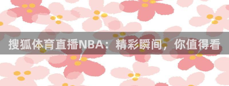 搜狐体育直播NBA：精彩瞬间，你值得看