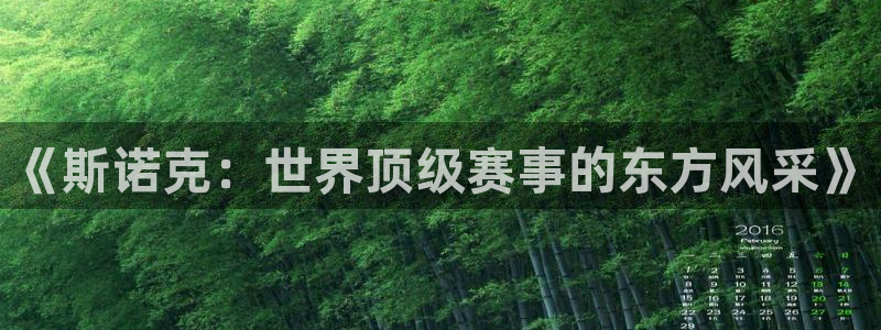 《斯诺克：世界顶级赛事的东方风采》