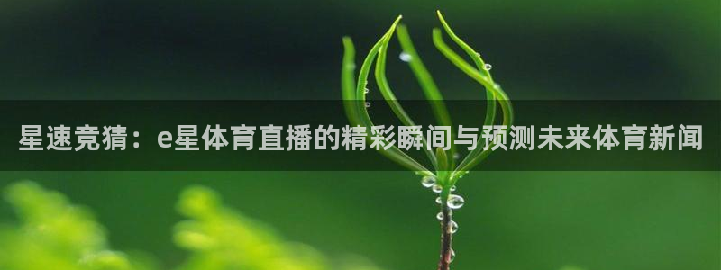 星速竞猜：e星体育直播的精彩瞬间与预测未来体育新闻