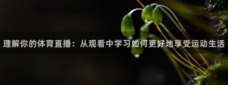 理解你的体育直播：从观看中学习如何更好地享受运动生活