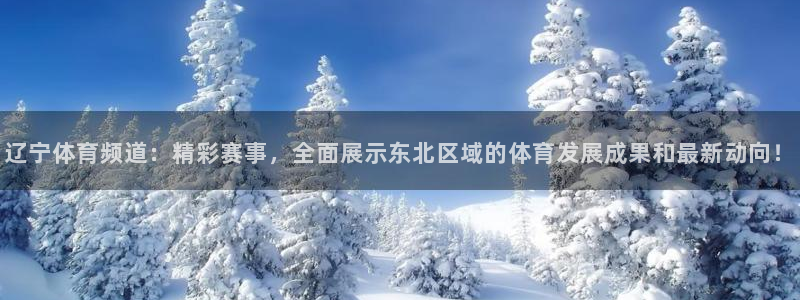 辽宁体育频道：精彩赛事，全面展示东北区域的体育发展成果和最新动向！