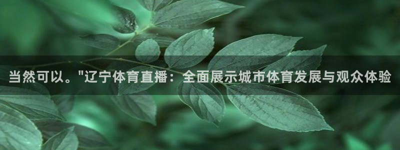 当然可以。\