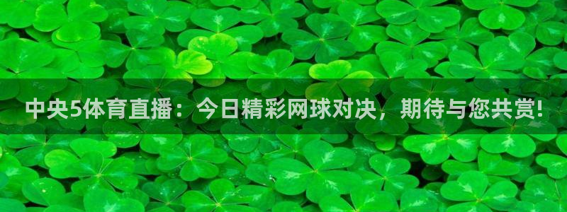 中央5体育直播：今日精彩网球对决，期待与您共赏!