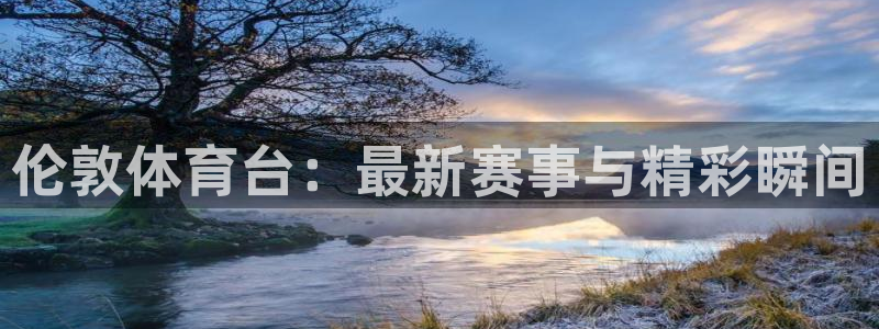 伦敦体育台：最新赛事与精彩瞬间