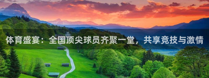 体育盛宴：全国顶尖球员齐聚一堂，共享竞技与激情