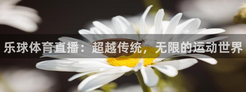乐球体育直播：超越传统，无限的运动世界