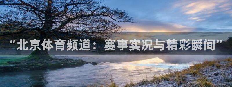 “北京体育频道：赛事实况与精彩瞬间”