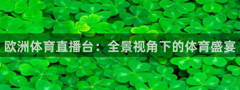 欧洲体育直播台：全景视角下的体育盛宴