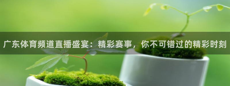 广东体育频道直播盛宴：精彩赛事，你不可错过的精彩时刻