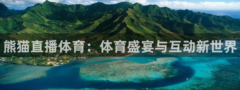 熊猫直播体育：体育盛宴与互动新世界