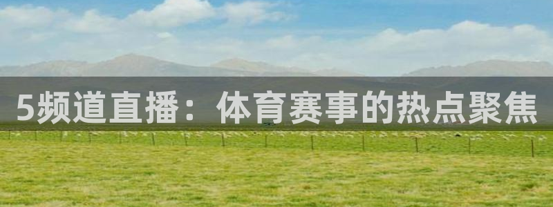 5频道直播：体育赛事的热点聚焦