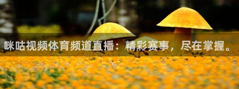 咪咕视频体育频道直播：精彩赛事，尽在掌握。