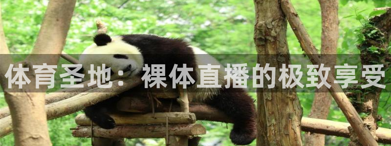 体育圣地：裸体直播的极致享受