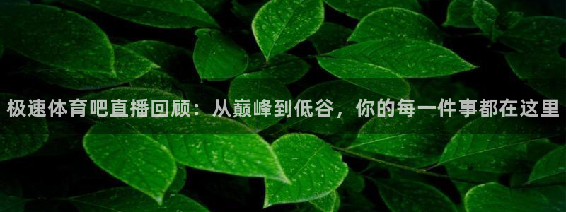 极速体育吧直播回顾：从巅峰到低谷，你的每一件事都在这里