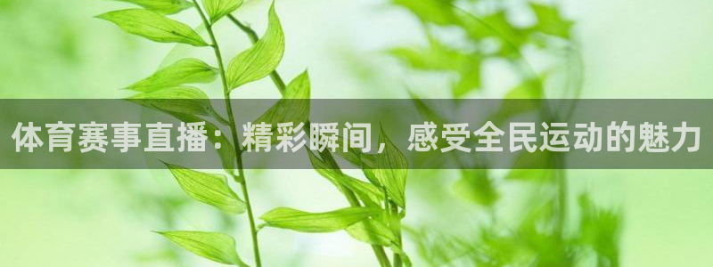 体育赛事直播：精彩瞬间，感受全民运动的魅力