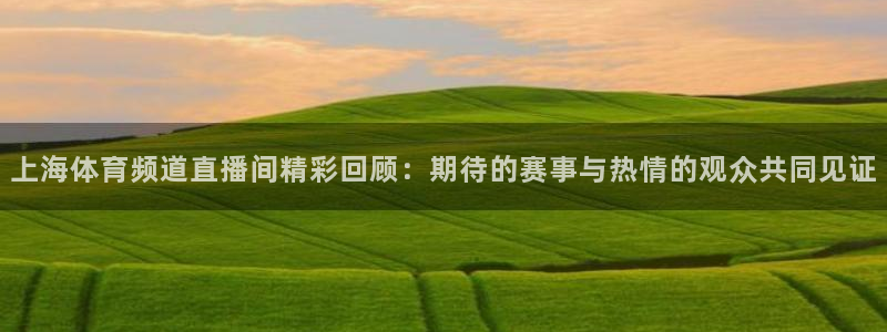 上海体育频道直播间精彩回顾：期待的赛事与热情的观众共同见证