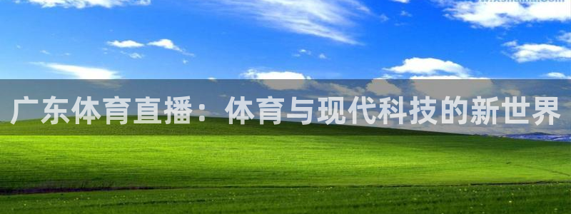 广东体育直播：体育与现代科技的新世界