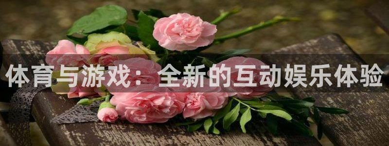 体育与游戏：全新的互动娱乐体验