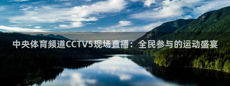 中央体育频道CCTV5现场直播：全民参与的运动盛宴