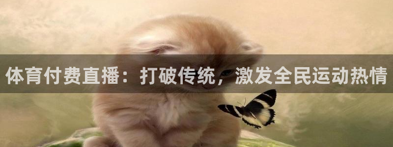 体育付费直播：打破传统，激发全民运动热情