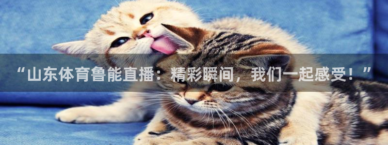 “山东体育鲁能直播：精彩瞬间，我们一起感受！”
