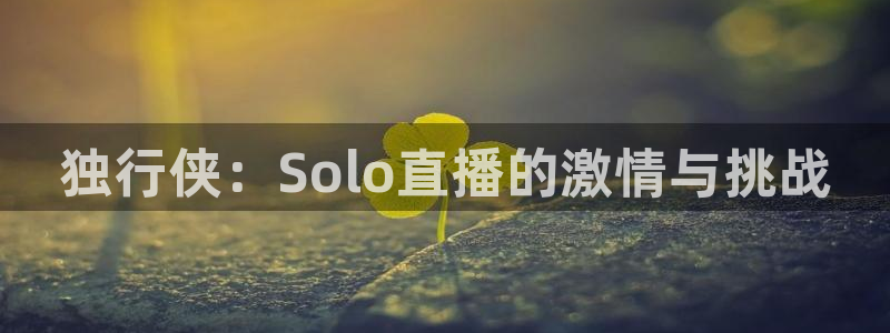 独行侠：Solo直播的激情与挑战