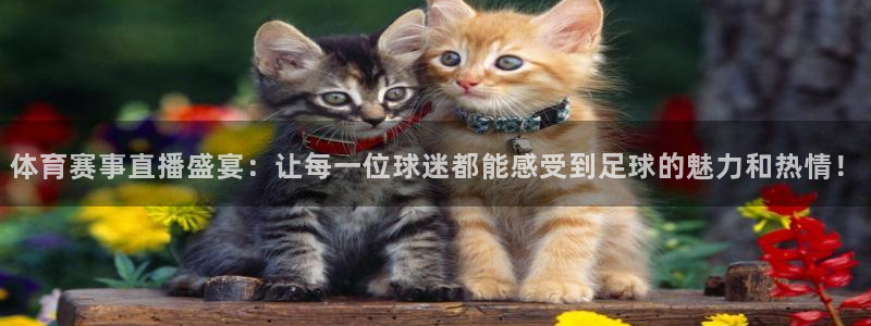 体育赛事直播盛宴：让每一位球迷都能感受到足球的魅力和热情！