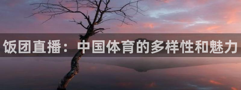 饭团直播：中国体育的多样性和魅力