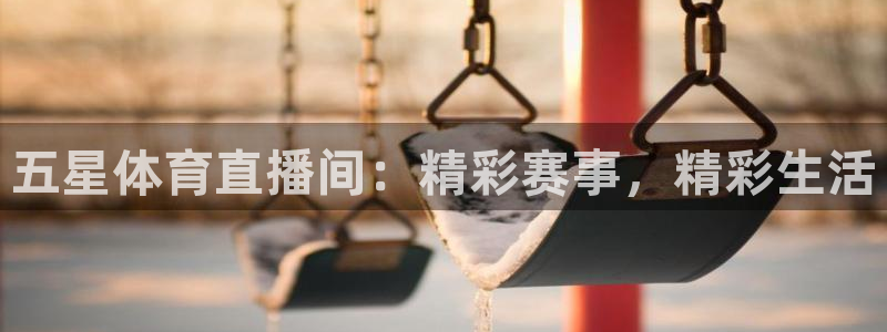 五星体育直播间：精彩赛事，精彩生活
