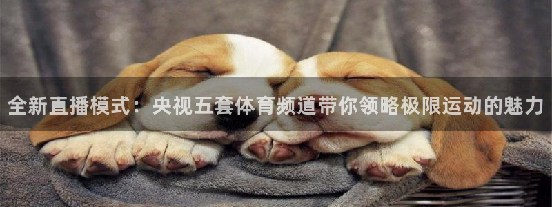 全新直播模式：央视五套体育频道带你领略极限运动的魅力