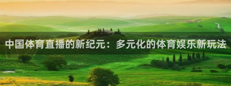 中国体育直播的新纪元：多元化的体育娱乐新玩法