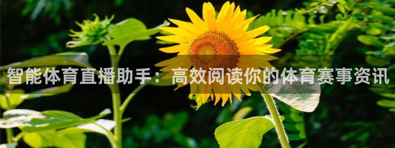 智能体育直播助手：高效阅读你的体育赛事资讯