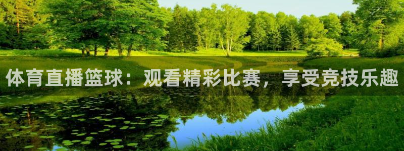 体育直播篮球：观看精彩比赛，享受竞技乐趣